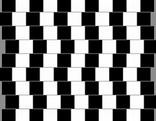 صور ساحره Great-optical-illusions-03