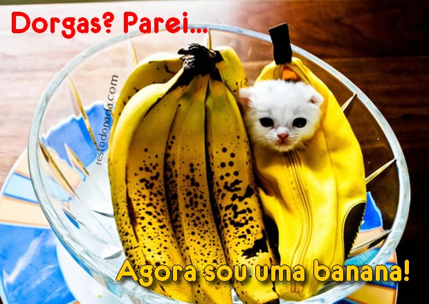 Tirinhas(Humor,sem medo que nem na ultima vez...) Banana