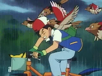 Pokemons de Kanto! 1257359-ash_fleeing_spearow_super