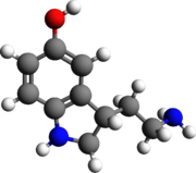 La orientación sexual depende de la serotonina 180px-Serotonina_01