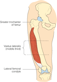 Intramuscular injection "IM" sites,steps,procedure Figure16a%255B2%255D