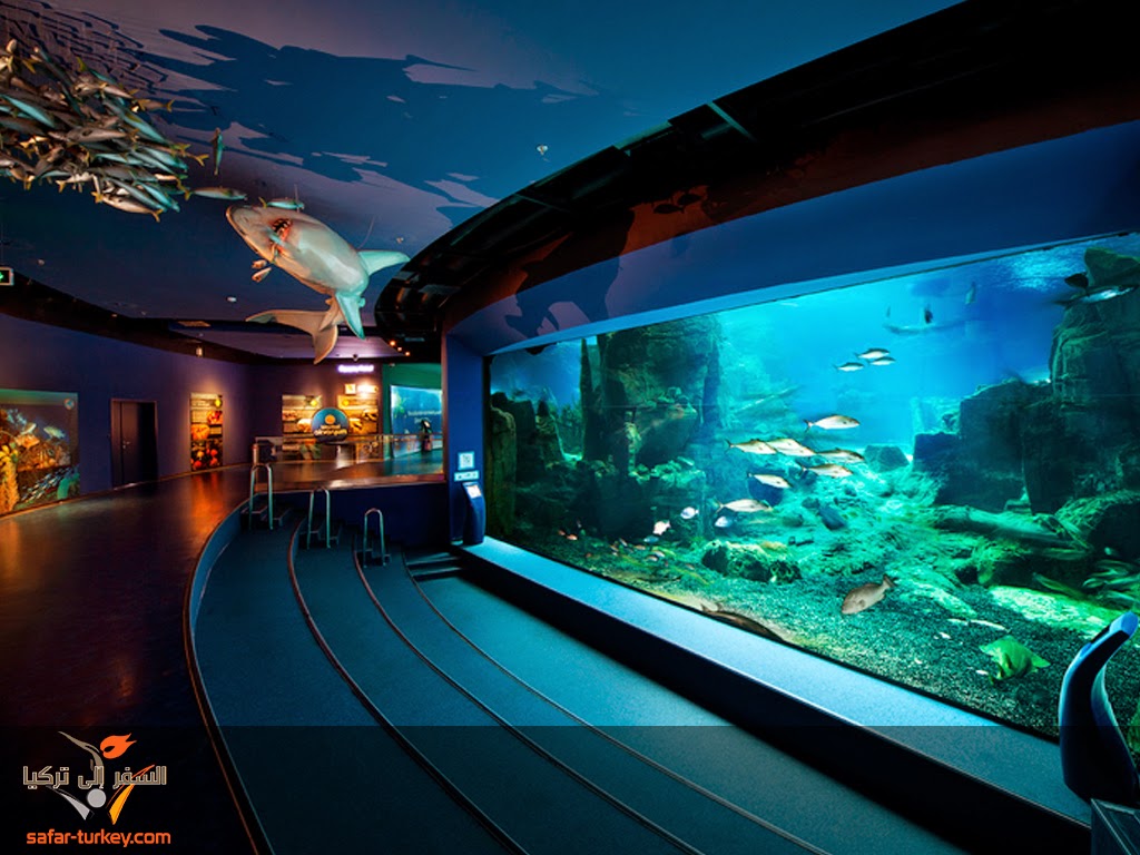 برنامج سياحي شامل في اسطنبول بأقل التكاليف Aquarium