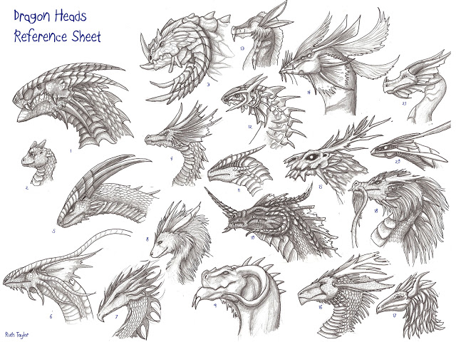 [Tutorial]  Como desenhar Dragões. Dragonheads_reference_sheet_by_Ruth_Tay