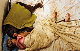 مرأة تنام مع الفيل فى سرير واحد  11