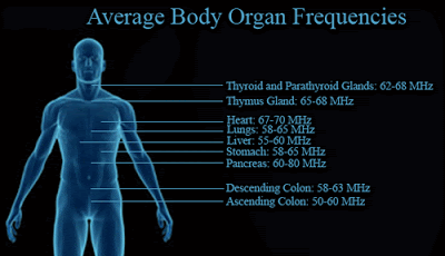 Why does FREQUENCY have an impact on our health?  New-guy