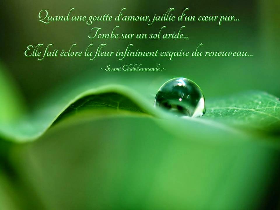 citation  - Page 14 A%2Bsagesse%2Brenouveau