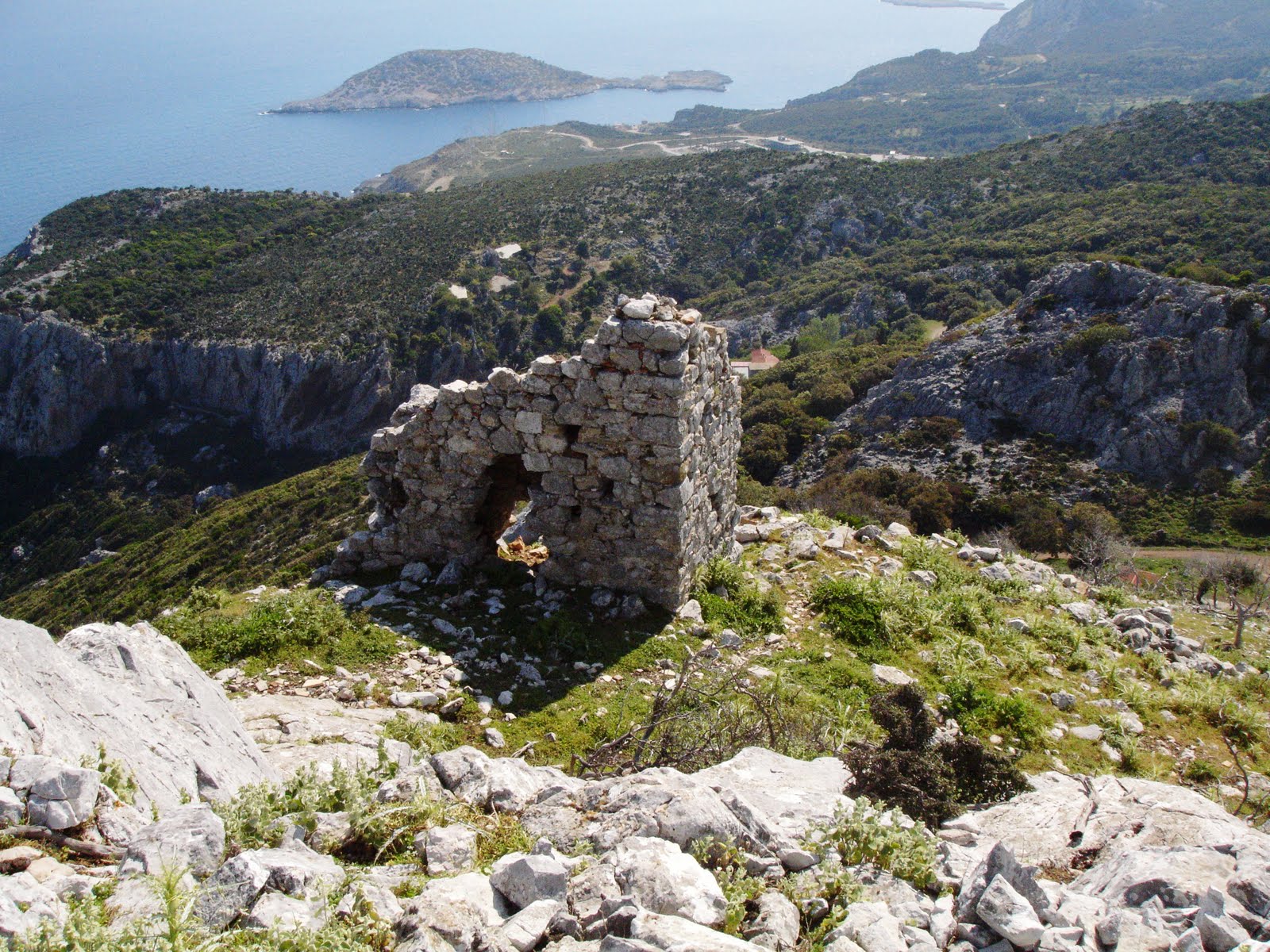 ΔΙΑΦΟΡΕΣ ΦΩΤΟΓΡΑΦΙΕΣ ΑΠΟ ΤΗΝ ΚΥΜΗ ΜΑΣ DSC03882