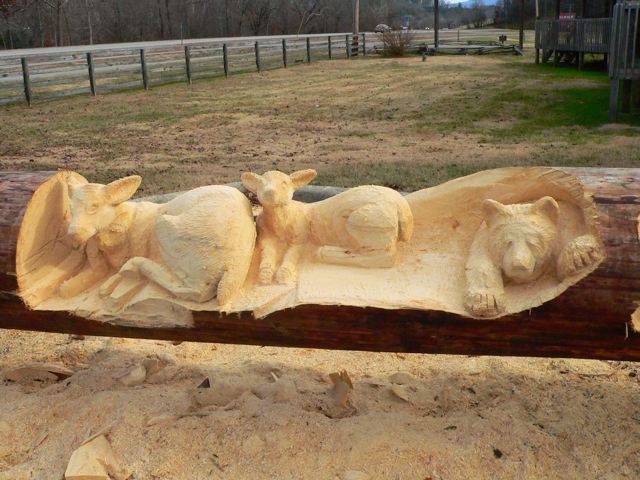 Animals Carved In Tree Trunk Image007