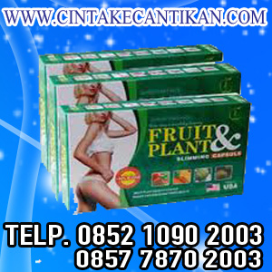 FRUITPLANT OBAT PELANGSING HERBAL MENURUNKAN BERAT BADAN 10-20KG info 081291625333 FRUITPLANT