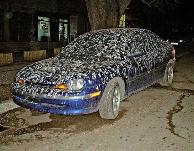 Montroig-Pala del Coll Coche_lleno_de_cagadas_de_pajaro