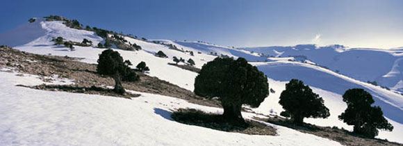 لوحة أسطورية بالغة الجمال من لبنان Valley-Kadisha-Lebanon015