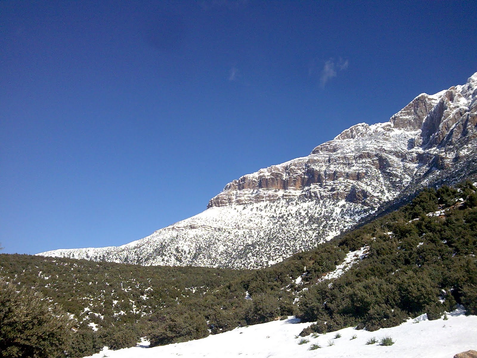  صور رائعة لجبال الونشريس لا تفوتوها  Image019