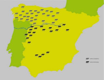 lobo - El lobo ibérico en España Mapa