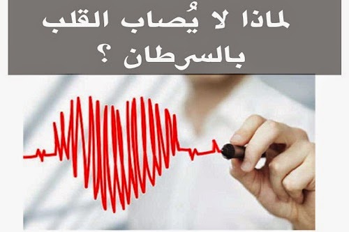 لماذا لا يصاب القلب بالسرطان؟ %D8%B3%D8%B1%D8%B7%D8%A7%D9%86%2B%D8%A7%D9%84%D9%82%D9%84%D8%A8