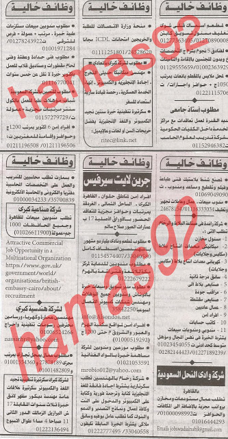 وظائف خالية من جريدة الاهرام الجمعة 12/4/2013 13