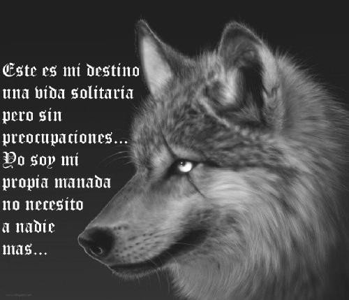 >>>> EL LOBO SOLITARIO <<<< - Página 2 28862_1408677169899_1021533475_1173562_2633154_n