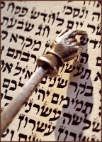 ENCUÉNTRAME A MITAD DEL CAMINO Torah_with_pointer