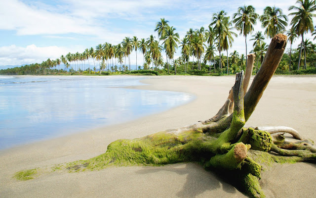 صور مناظر بحرية غاية في الروعة Paisajes-de-Islas-Tropicales_34