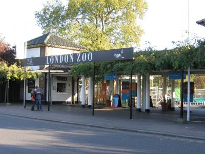 London Zoo Londonzoo