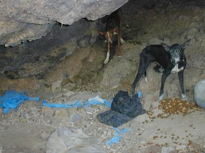 Otra muestra mas de como tratan los cazadores a sus animales, se ve cuanto amor los tienen DSCN0424