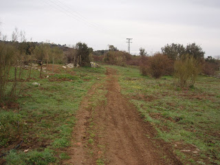 Camino del levante,el comienzo.. - Página 6 P1011866