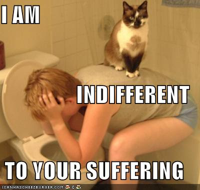 Incest Relationships Go a Step Forward Funny-pictures-cat-on-vomiting-person