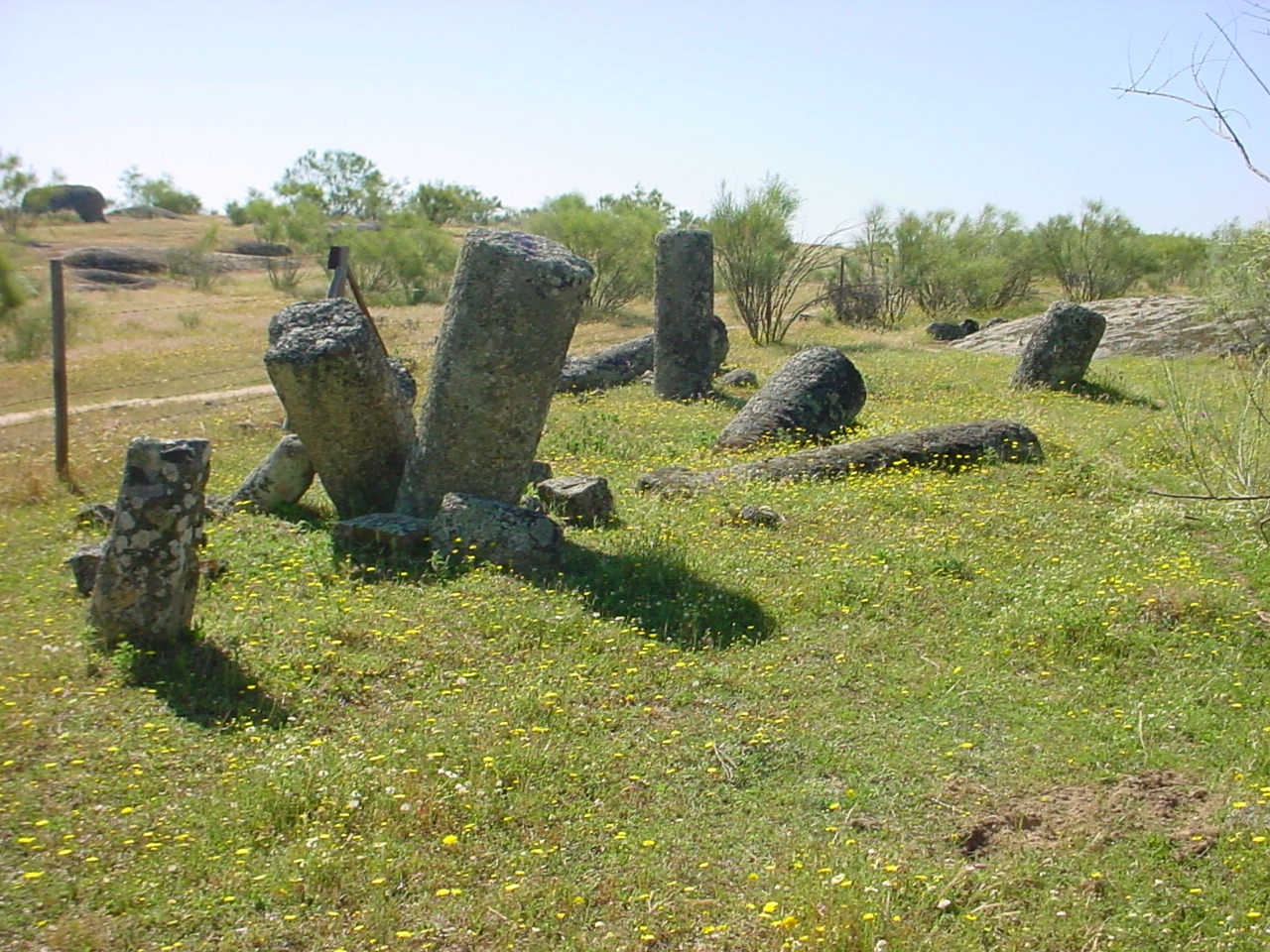 Arqueología en el resto de la Región de Murcia - Página 4 Miliarios.jpg