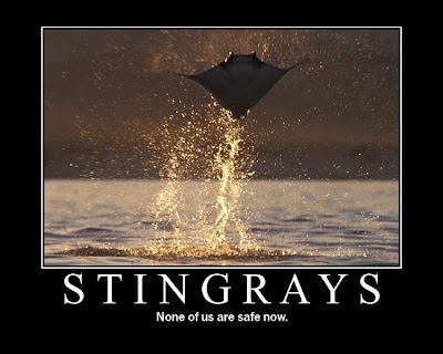 Motivationals Motivational-posters-stingrays-flying-out-of-the-w1