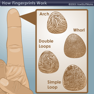 ادخل وشوف بالصور ماقالة النبي من الاف السنين واثيتة العلم الحديث Fingerprint-2
