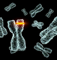 Informação e Entropia nos Sistemas Vivos Mutation