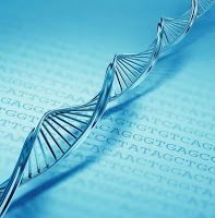 Cientistas descobrem novo nível de informação no DNA  Dna