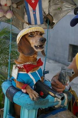Fotos de los logros de la "robolucion" .....del espacio de cubanoviejo Perro