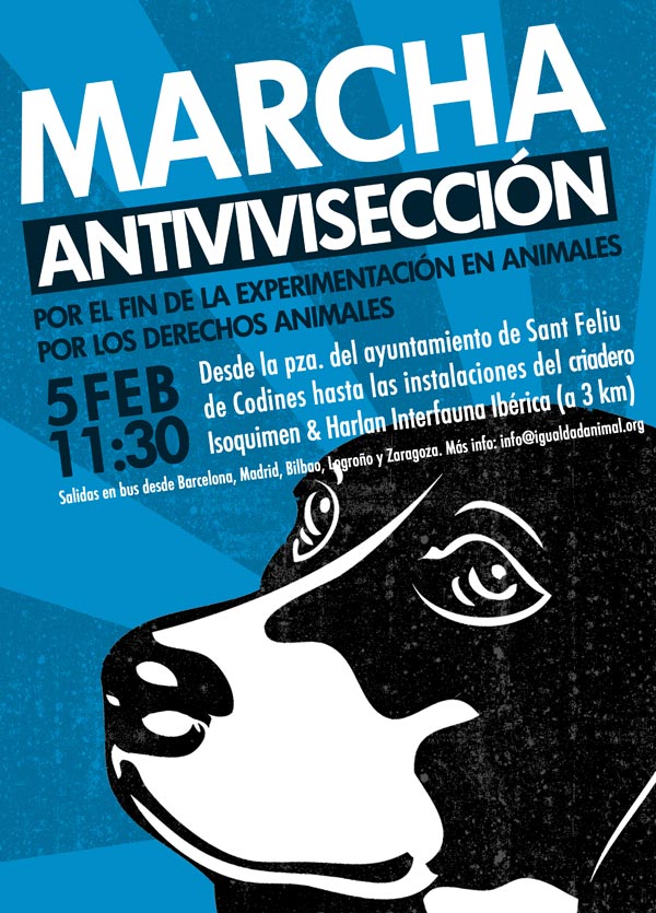 Marcha contra la experimentación animal  - Igualdad Animal Cabecera_20110128_marchaexperimentacion