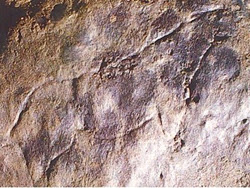  Cérvido grabado en roca de la Cueva de Doña Trinidad, Ardales  DescuNatug150906%5B1%5D