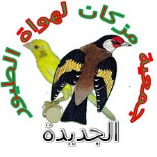 شهادة تقديرية من جمعية مزكان لهواة الطيور Logo_de_notre_association