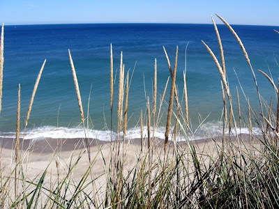 Cape Cod, no estado de Massachussets, é um sítio fantástico PA060189