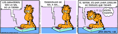 Garfield - Tiras Cómicas 3 Ga080118