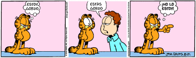 Garfield - Tiras Cómicas 19 Ga080821