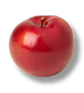 قصة التفاحة Red-Apple%5B1%5D