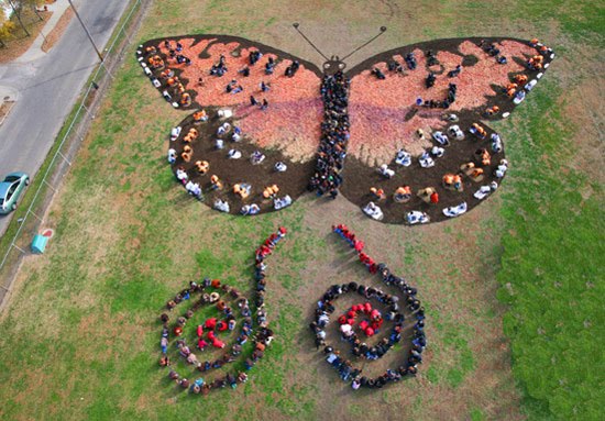 صور ليس باستطاعتك رؤيتها الا من الاعلى ! Butterfly-sky-photo