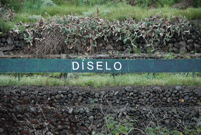 LA FRASE DE LA AUTOPISTA... Diselo