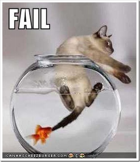 Humour - Page 20 Funny_cat_fail2%5B2%5D