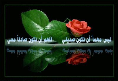 الصداقة 56292794146e61b4c86e1b