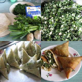 ***Cheese and Spinach Samosa*** 2009may16