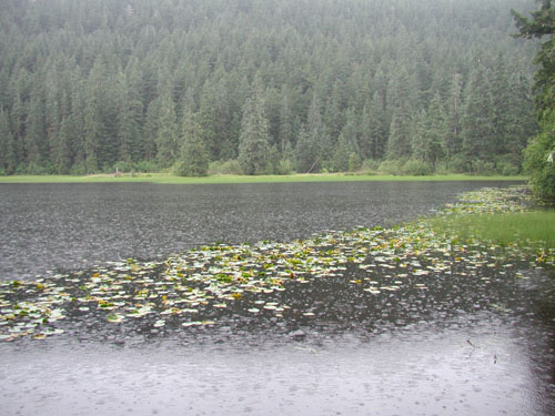 MIÉRCOLES 11 DE ENERO DE 2012, POR FAVOR DEJEN SUS MJES. DIARIOS AQUÍ.GRACIAS Lluvia_2