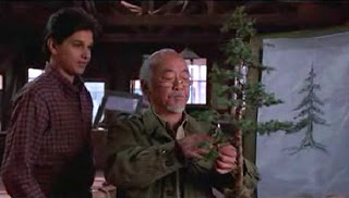 JUNIPERO RIGIDA DE JORGEGL Karate-Kid-Bonsai-Tree