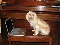 The spell check quit working  Help!! Computer_dog_200_150