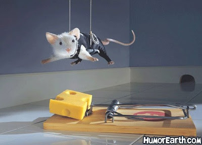 Funny mouse Mouse