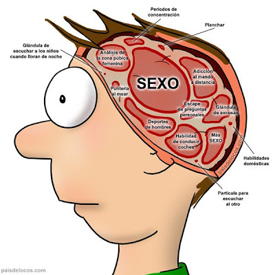 El verdadero Santiago oblias Cerebro-masculino