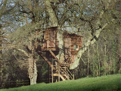 அழகிய மரங்களில் அழகான வீடுகள்.. Amazon-Tree-Houses-03